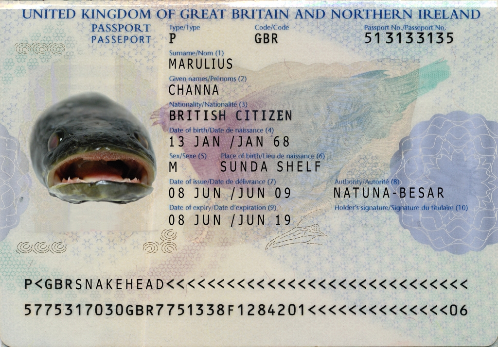 Fish Passports